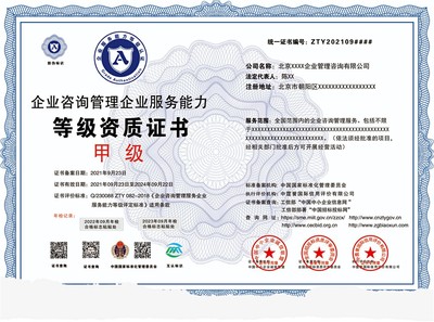 申報(bào)企業(yè)咨詢管理資質(zhì)投標(biāo) 須備