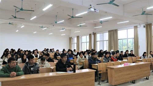 經濟與管理學院開展 企業管理咨詢服務實訓 集中實踐教學活動